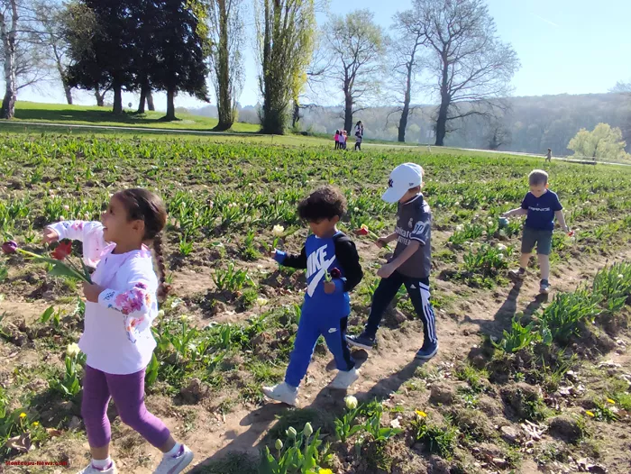 tulipes-ecole-120425161028