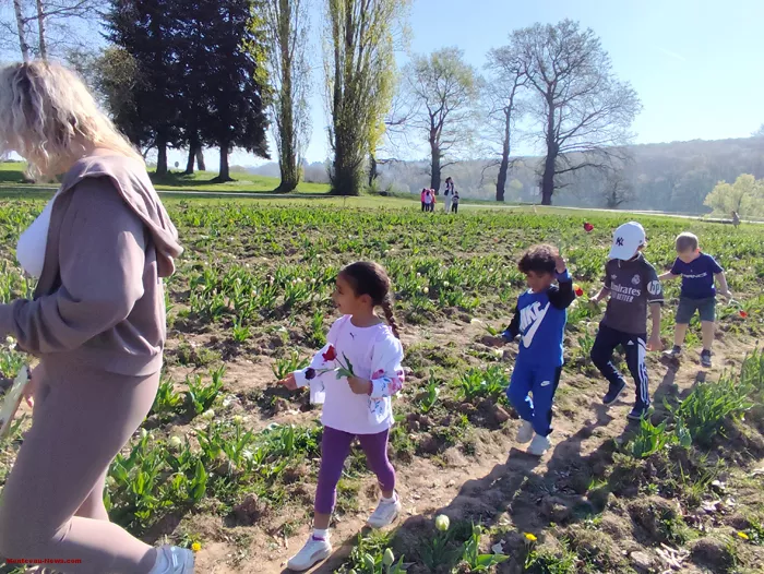 tulipes-ecole-120425161029