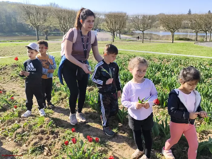 tulipes-ecole-120425161035