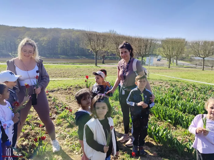 tulipes-ecole-120425161036