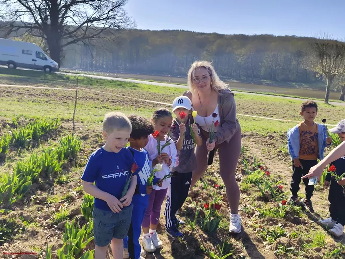 tulipes-ecole-120425161037