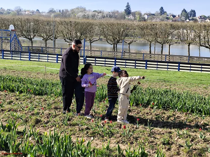 tulipes-ecole-120425161041