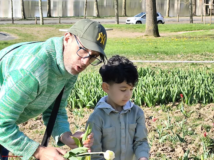 tulipes-ecole-120425161042