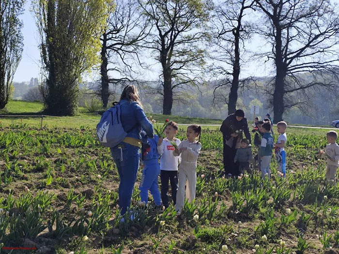 tulipes-ecole-120425161044