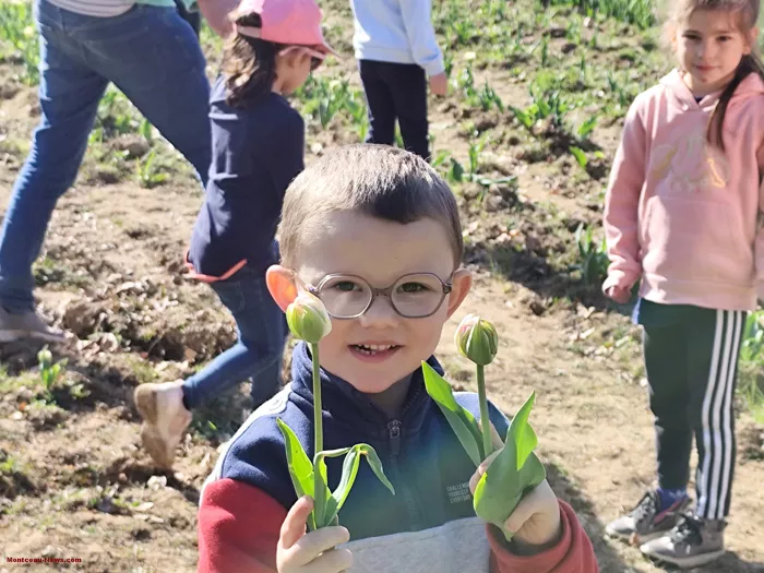 tulipes-ecole-120425161051