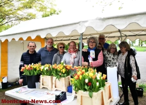 Montceau-les-Mines : Des tulipes contre le cancer