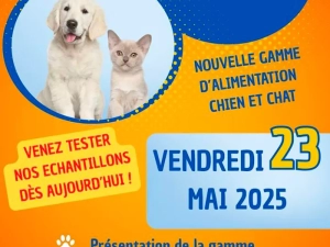 animal-villa-110525