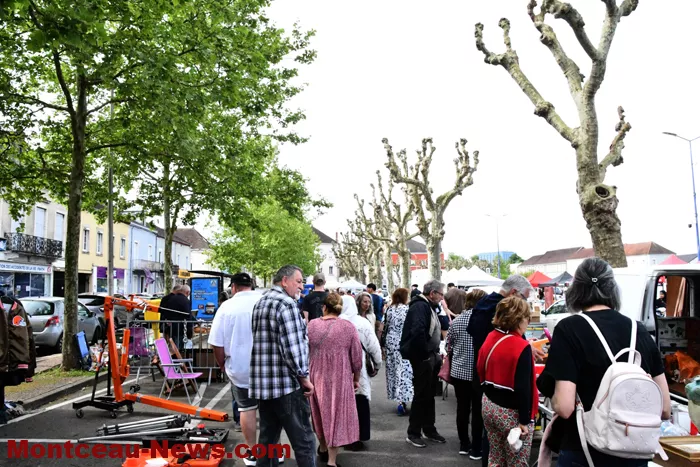 bouquinerie-050525161026