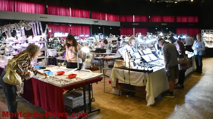 bourse-mineraux-050525161026