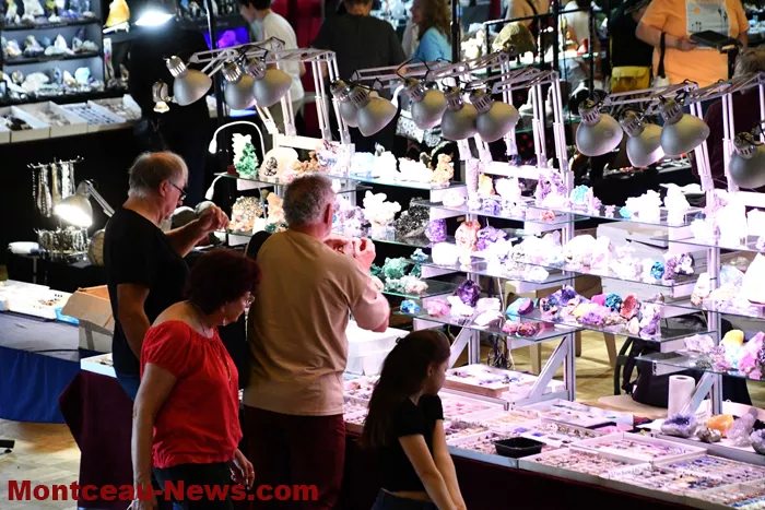 bourse-mineraux-050525161028
