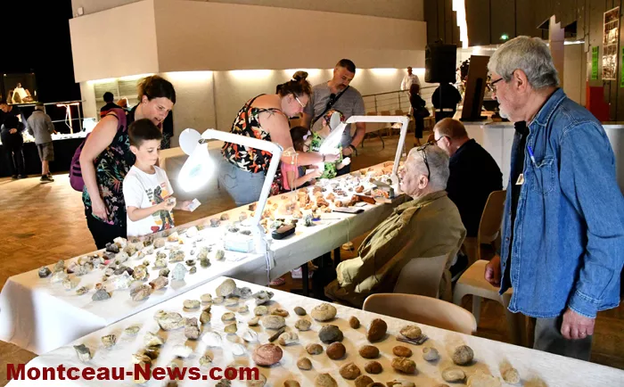 bourse-mineraux-050525161032