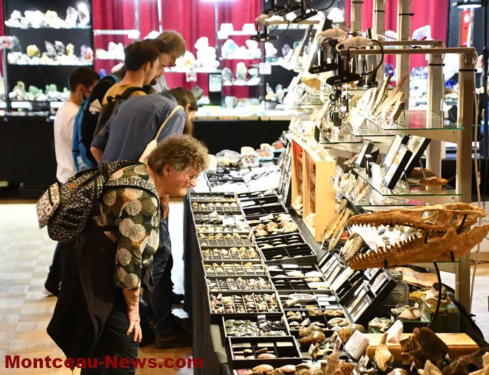 bourse-mineraux-050525161034