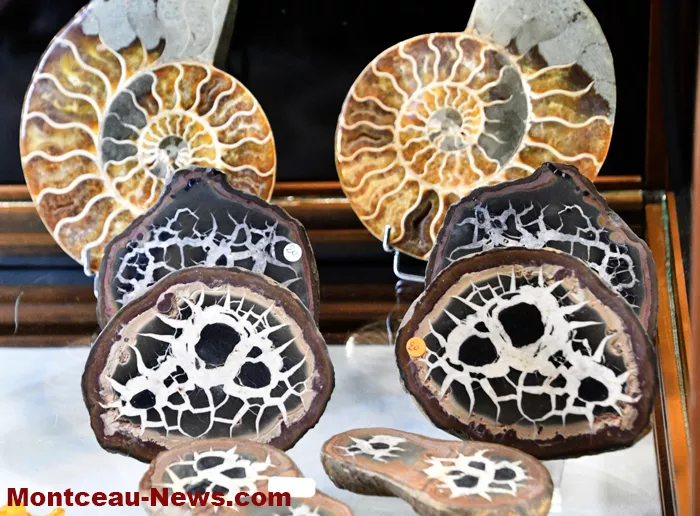 bourse-mineraux-050525161036