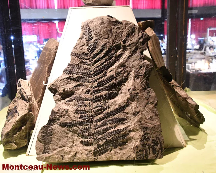 bourse-mineraux-050525161041