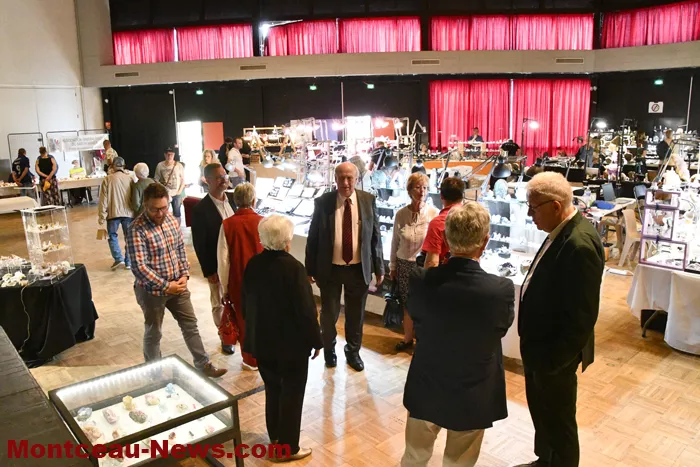 bourse-mineraux-050525161042