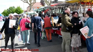 Elections législatives – 5ème circonscription de Saône et Loire