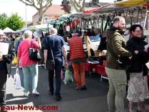 election-marche-110525161032