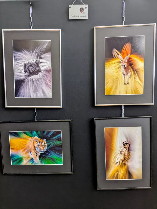 expo-photo-montchanin-220525161038