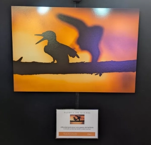 expo-photo-montchanin-220525161046