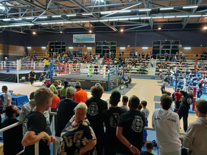 fight-040525161024
