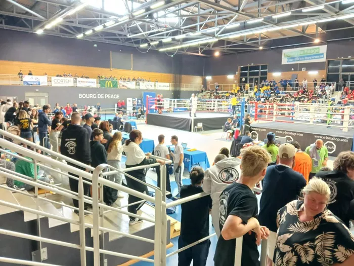 fight-040525161025
