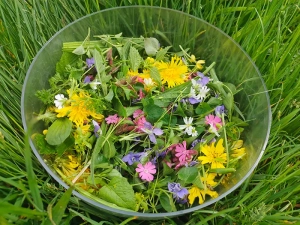 fleurs-100525