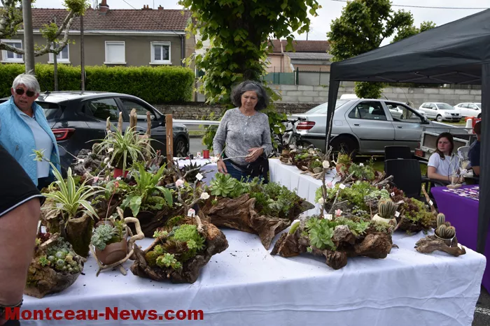 marche-nocturne-blanzy-250525161036