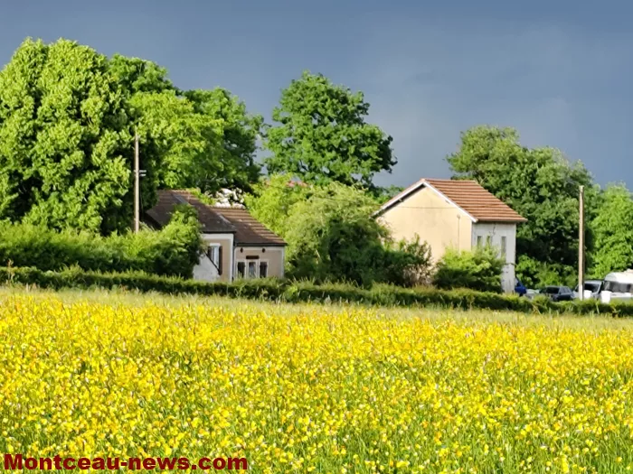 meurtre-bizots-120525161024