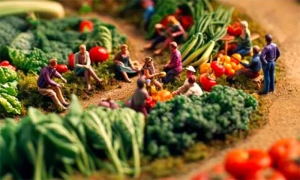 Les Passerelles à Sanvignes