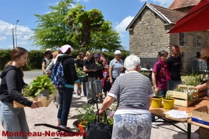 12e édition du troc plants à Sanvignes sous le soleil