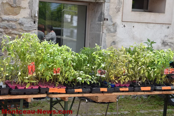 plantes-sanvignes-180525161029