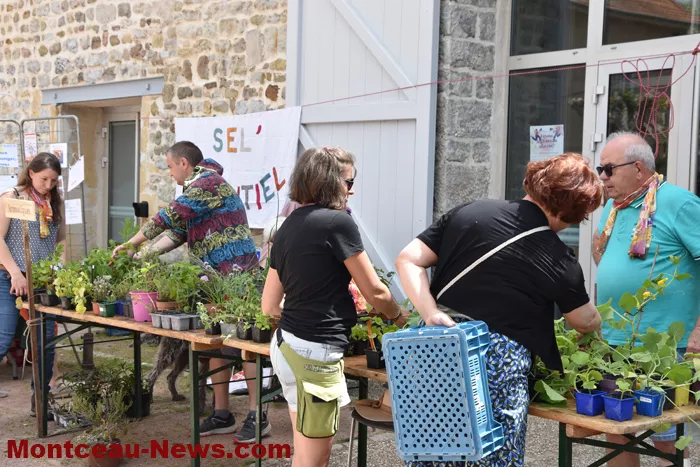 plantes-sanvignes-180525161032