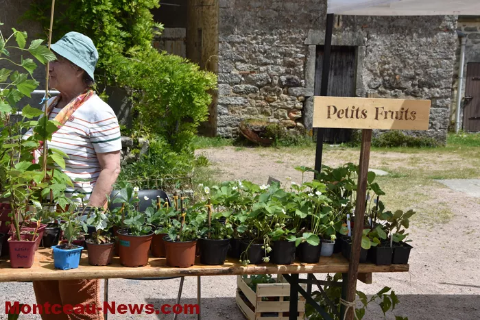 plantes-sanvignes-180525161038
