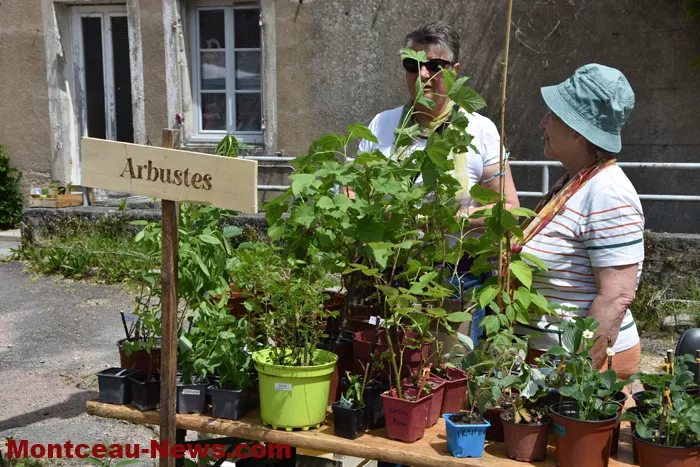 plantes-sanvignes-180525161039