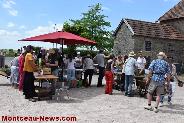 plantes-sanvignes-180525161041