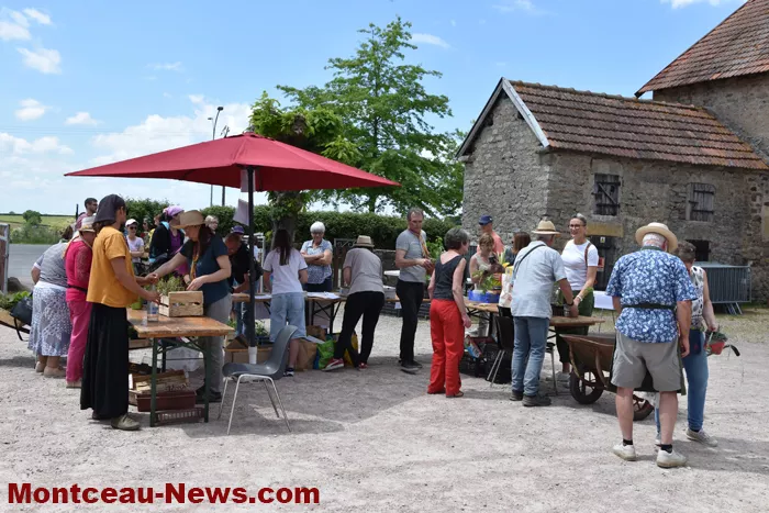 plantes-sanvignes-180525161042