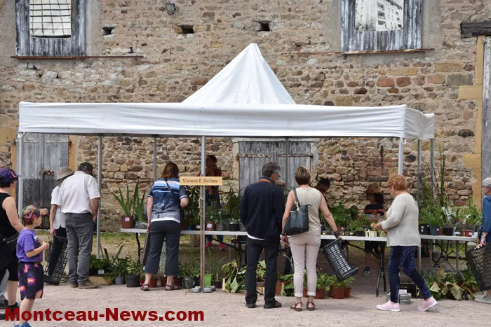 plantes-sanvignes-180525161043