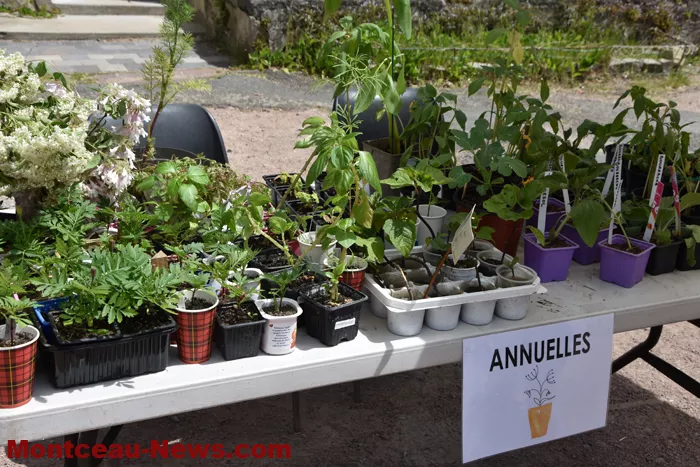 plantes-sanvignes-180525161044