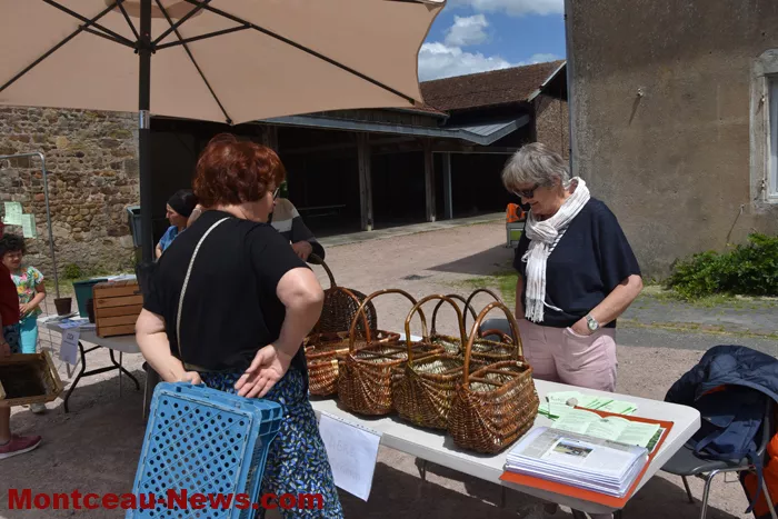 plantes-sanvignes-180525161045