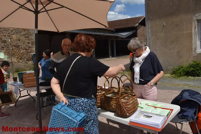 plantes-sanvignes-180525161046