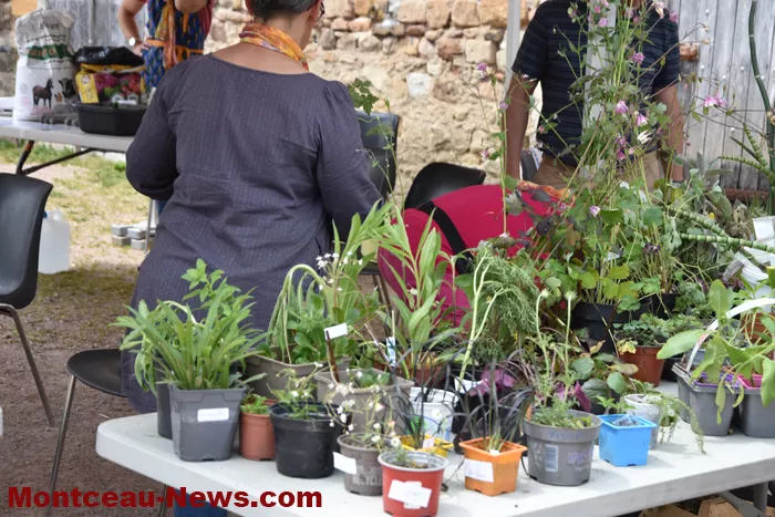 plantes-sanvignes-180525161053