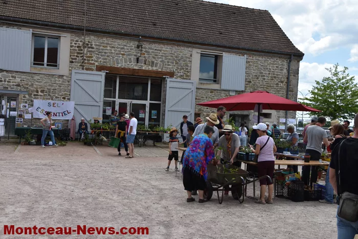 plantes-sanvignes-180525161055