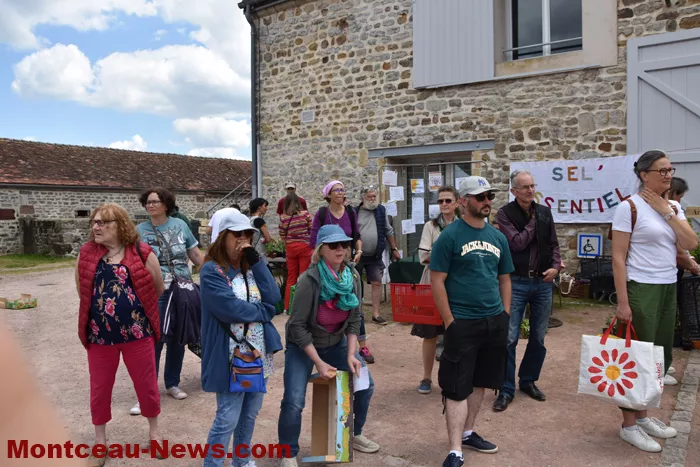 plantes-sanvignes-180525161060