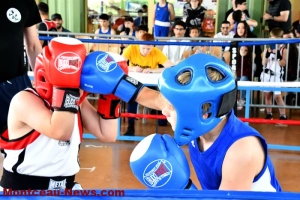 pouilloux-box-110525161031