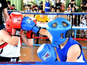 pouilloux-box-110525161031