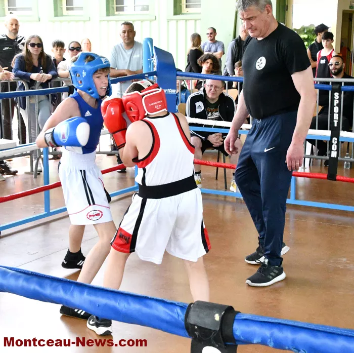 pouilloux-box-110525161034