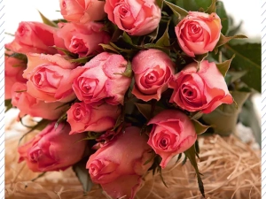 rose-leclerc-2005251