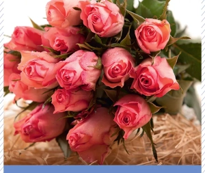 Opération “Roses de l’espoir” du Lions Club (Montceau-les-Mines)