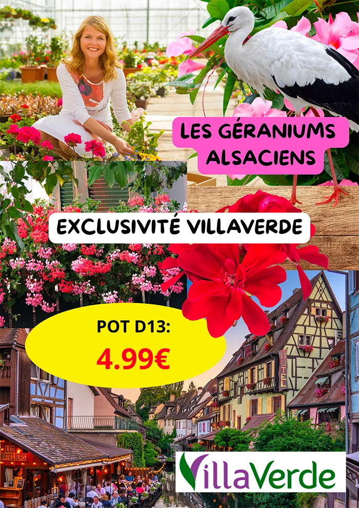 villa-1105252