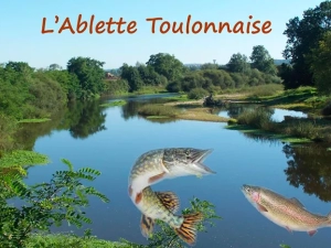 ablette-280625